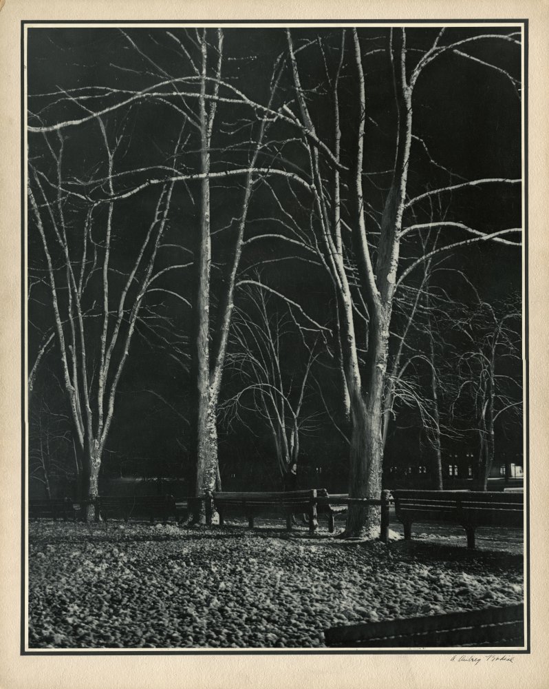 Click for larger image